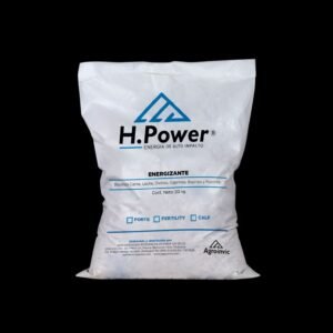 H. POWER ENERGIZANTE